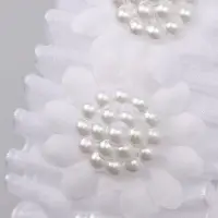 Ободок для волос белый, цветы, 10 см, Коты аристократы