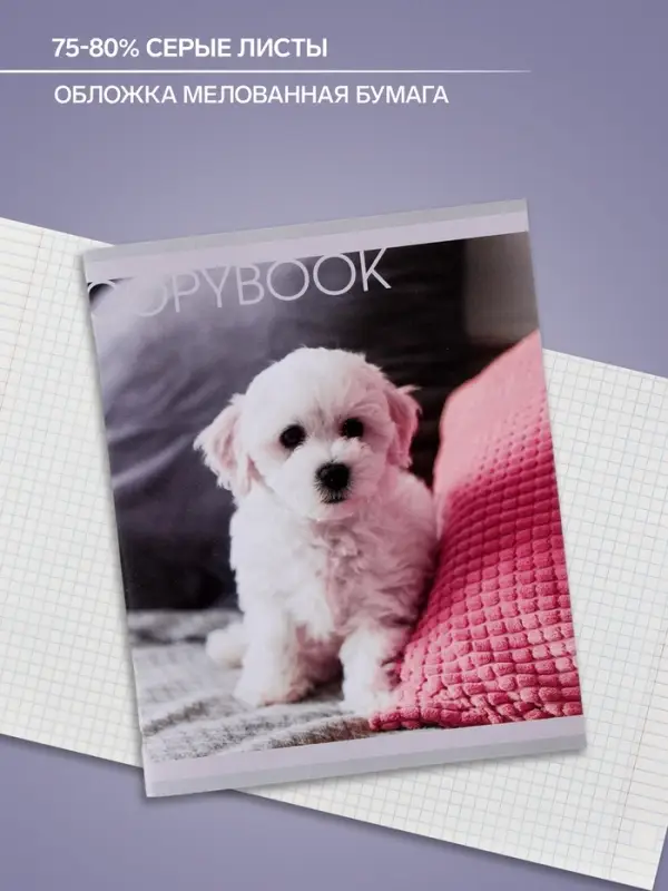 Тетрадь 48 листов в клетку Calligrata &laquo;Любимые питомцы&raquo;, обложка мелованная бумага, серые листы, МИКС