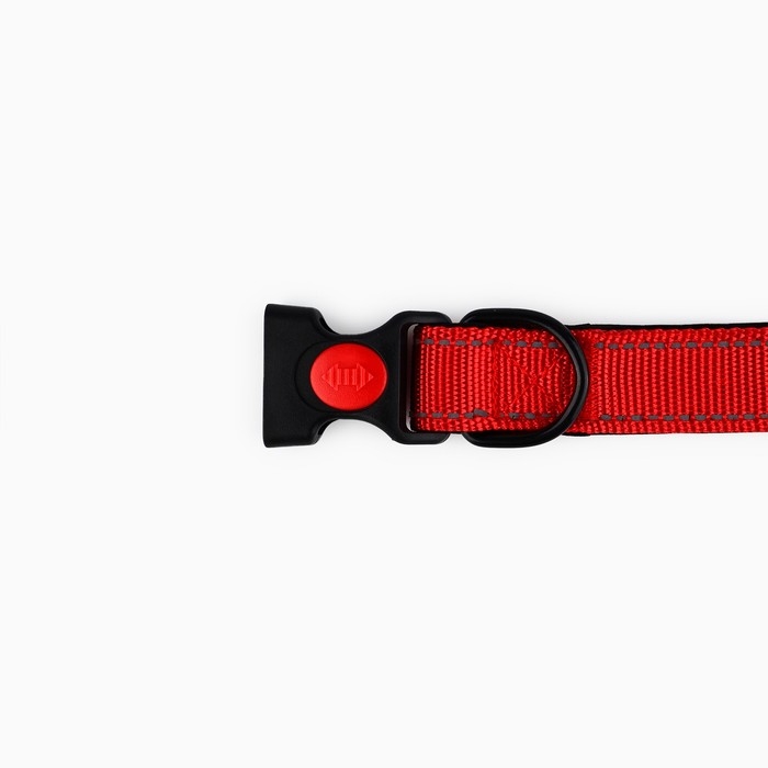 Ошейник из нейлона с фастексом 2,5 см, ОШ 31-48 см, красный Ошейник из нейлона с фастексом 2,5 см, ОШ 31-48 см, красный