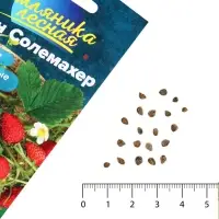 Семена Земляника &laquo;Барон Солемахер&raquo;, ремонтантная, 0.03 г, &laquo;Семена Алтая&raquo;