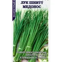 Семена Лук Шнитт Медонос /Сотка/ 0,3г/ до 40см/*1200 Семена Лук Шнитт Медонос /Сотка/ 0,3г/ до 40см/*1200