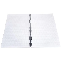 Бизнес-тетрадь&nbsp;А496л.клетка,спираль Be Smart,Aesthetics N3402