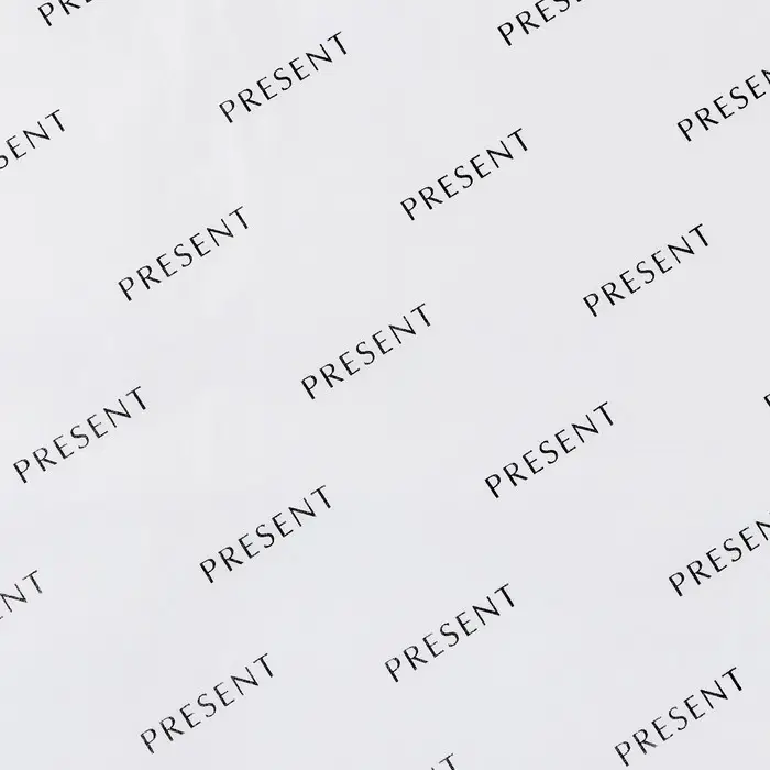Бумага упаковочная тишью «Present», белая, 50 х 70 см Бумага упаковочная тишью «Present», белая, 50 х 70 см