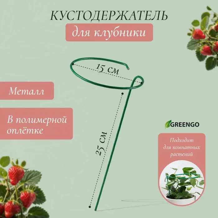 Кустодержатель для клубники, d=15 см, h=25 см, ножка d=0.3 см, металл, зелёный, Greengo Кустодержатель для клубники, d=15 см, h=25 см, ножка d=0.3 см, металл, зелёный, Greengo