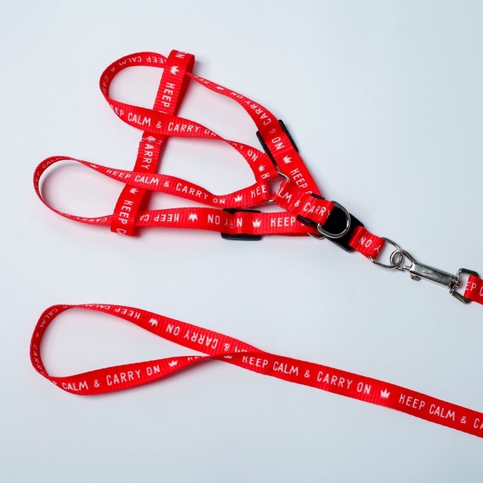 Комплект Keep calm & carry on, шлейка 36-49 см, поводок 120х1,5 см Комплект Keep calm & carry on, шлейка 36-49 см, поводок 120х1,5 см
