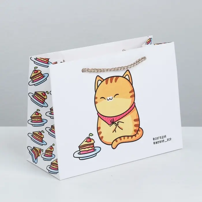 Пакет подарочный, упаковка, «Сладость», 19.5 х 14.5 х 8.5 см