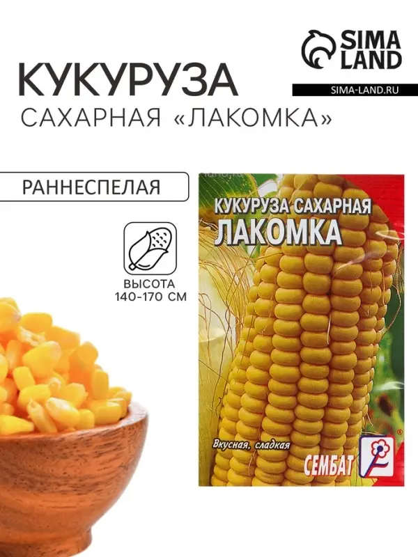 Семена Кукуруза сахарная «Лакомка», 5 г, «Сембат» Семена Кукуруза сахарная «Лакомка», 5 г, «Сембат»