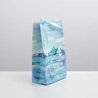 Пакет подарочный с лентой, упаковка, «Present for you», 13 х 23 х 7 см