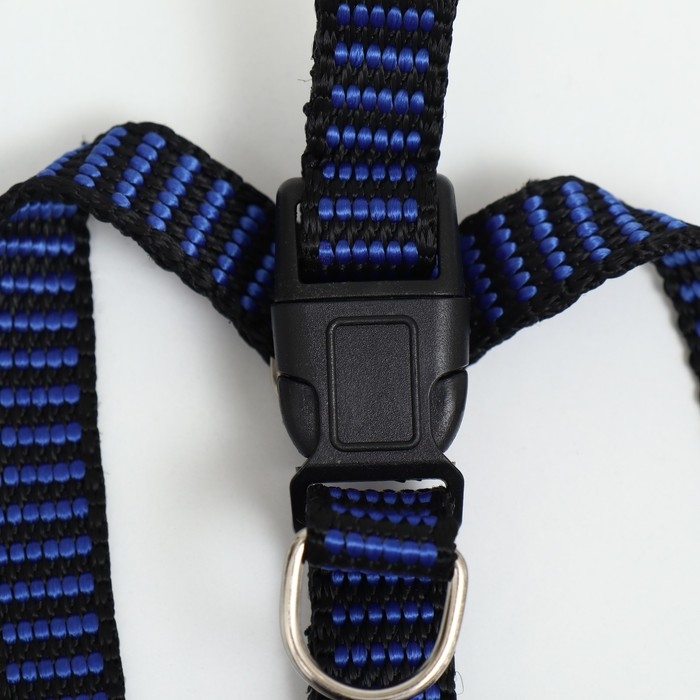 Шлейка рельефная 36-49 х 1,5 см, сине-чёрная Шлейка рельефная 36-49 х 1,5 см, сине-чёрная