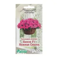 Семена цветов Бальзамин уоллера "Бикэн Нежная Сказка", F1, 5 шт Семена цветов Бальзамин уоллера "Бикэн Нежная Сказка", F1, 5 шт