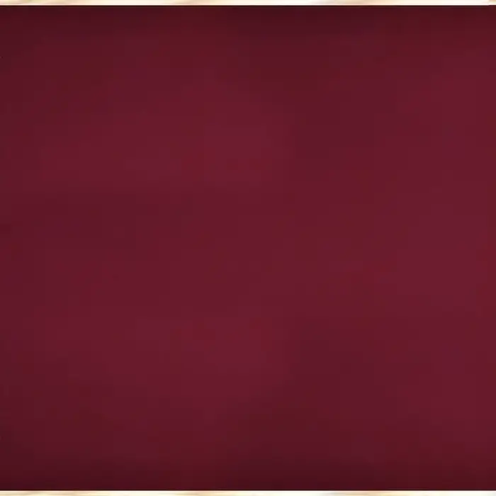 Пленка для цветов матовая, «С золотым тиснением», 57×57 см, красная Пленка для цветов матовая, «С золотым тиснением», 57×57 см, красная