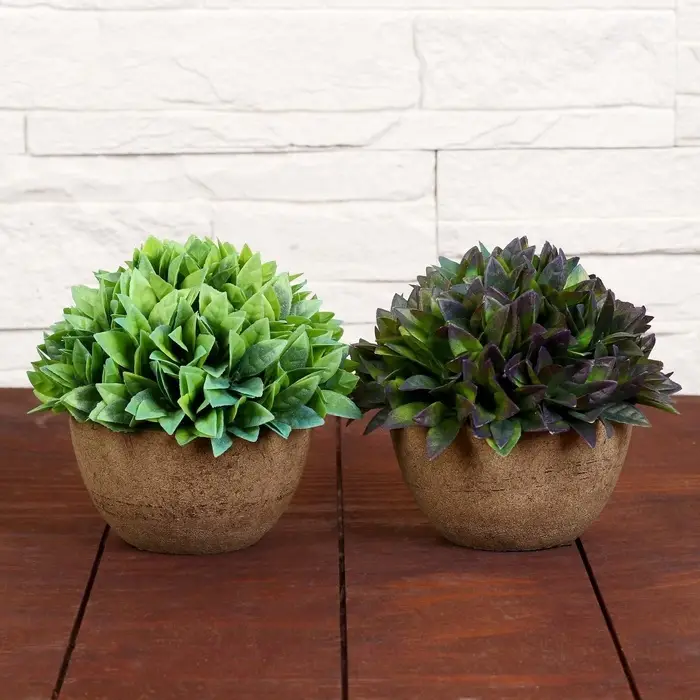 Искусственный цветок в горшке &laquo;Густые листики&raquo;, 13&times;11 см, МИКС