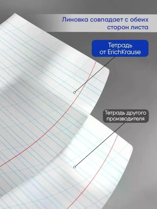 Тетрадь 12 листов, ErichKrause Visio, косая линия, 60 г/м&sup2;, обложка мелованный картон, фиолетовый, блок офсет