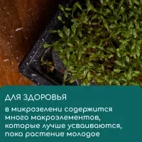 Коврик джутовый для выращивания микрозелени, 10&times;15 см, толщина 1 см, набор 5 шт.