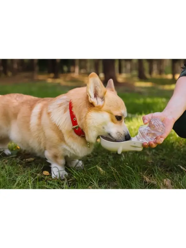 Поилка прогулочная, 300 мл, фигурная, с мягким носиком