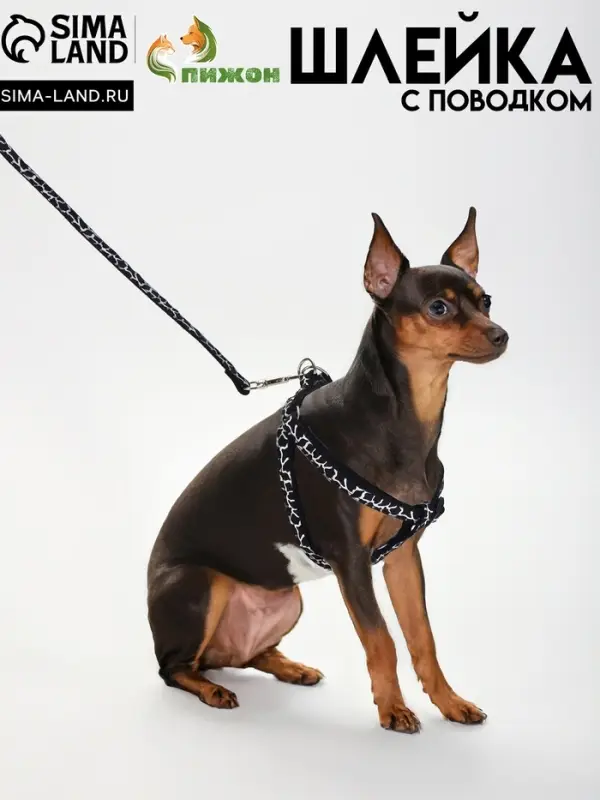 Шлейка с поводком &laquo;Жираф&raquo;, ширина 1 см, поводок 120 см, шлейка 23-35 см, чёрная, белая