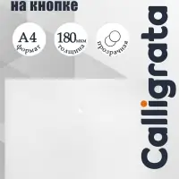 Папка-конверт на кнопке А4, 180 мкм, Calligrata, прозрачная, бесцветная