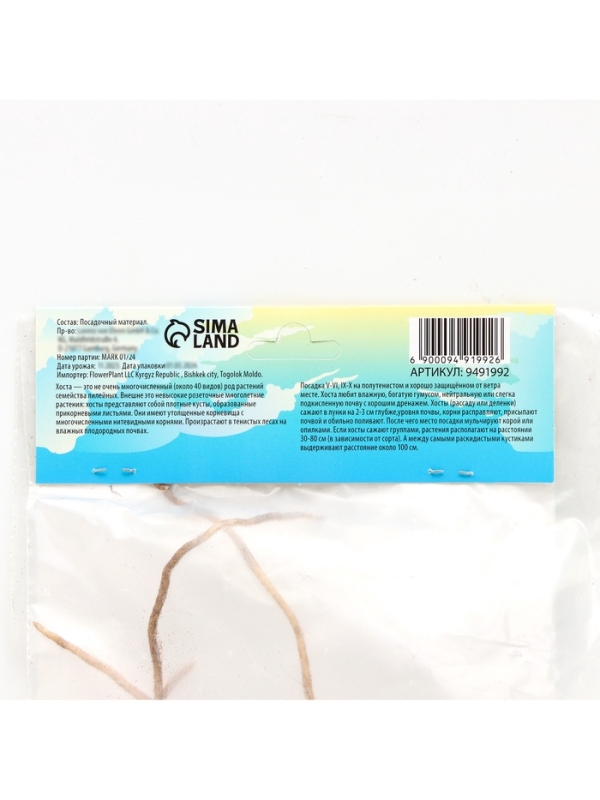 Хоста Marmalade on Toast, корневище в пакете с торфогрунтом, р-р I, размер M,1 шт.