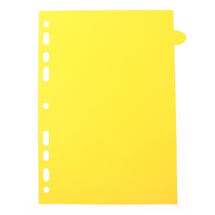 Разделитель листов A5 (210 x 165 мм) цветовой, 12 листов, Разделитель листов A5 (210 x 165 мм) цветовой, 12 листов, "deVENTE. Marandi" полипропилен 140 мкм, индивидуальная упаковка