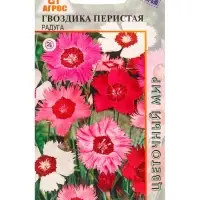 Семена Гвоздика Перистая Радуга 0,1 г Семена Гвоздика Перистая Радуга 0,1 г