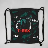 Мешок для обуви, T-REX, (текстиль) 41×34 см