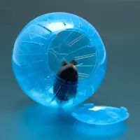 Шар для грызунов &laquo;Пижон&raquo;, 12 см, синий