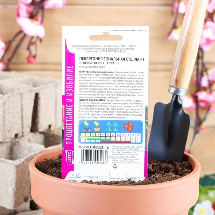Семена цветов Пеларгония  Семена цветов Пеларгония "Стелла", розовая с коричневым листом, F1, 4 шт