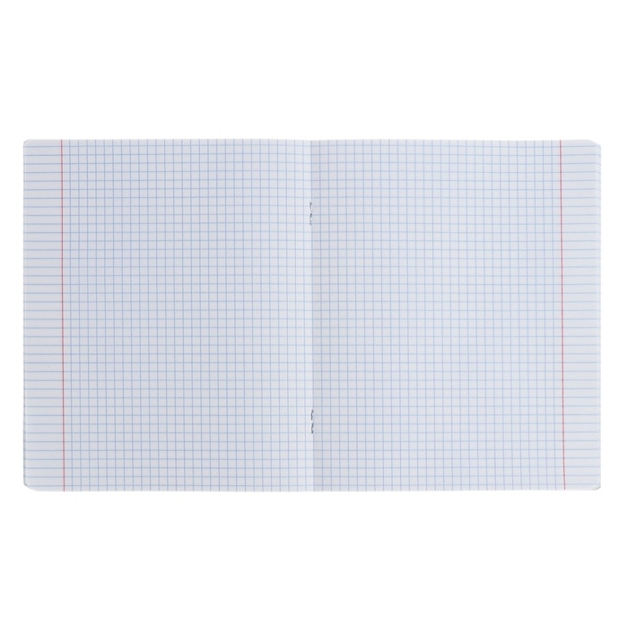 Тетрадь предметная ФИЗИКА, 48 листов в клетку, ErichKrause Manga, обложка мелованный картон, твин-лак, блок офсет 100% белизна, инфо-блок