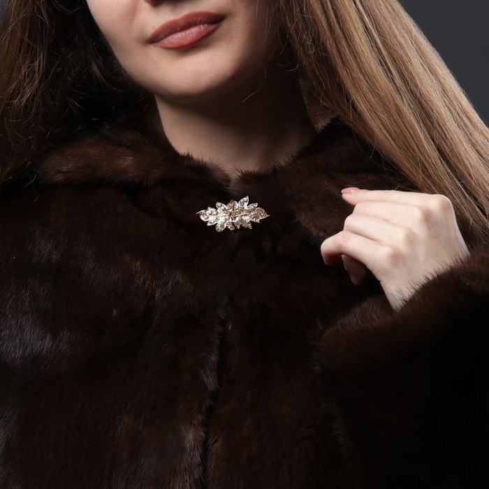 Декоративная застёжка «Листок», 5,1 × 2,3 см, цвет золотой Декоративная застёжка «Листок», 5,1 × 2,3 см, цвет золотой