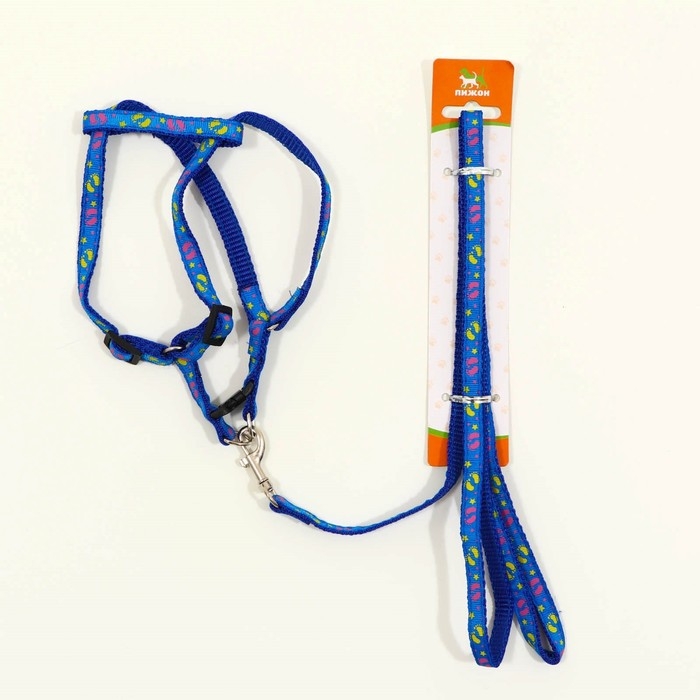 Комплект  Комплект "Цветные следы", ширина 1 см, поводок 120 см, шлейка 23-35 см, синий
