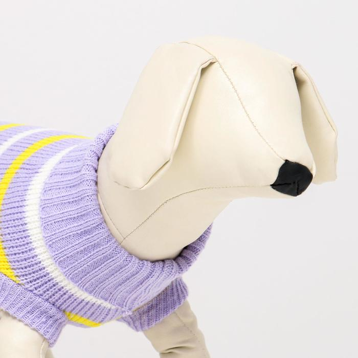 Свитер  Свитер "Полоски", 2XL (ДС 41, ОШ 41, ОГ 36-60 см)