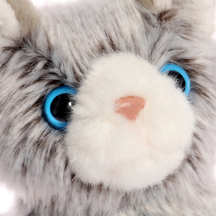 Мягкая игрушка «Котик сибирский», 19 см Мягкая игрушка «Котик сибирский», 19 см