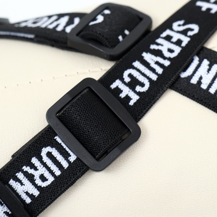 Комбинезон-штаны для собак,  размер M (ДС 36, ОТ 40 см), мятный