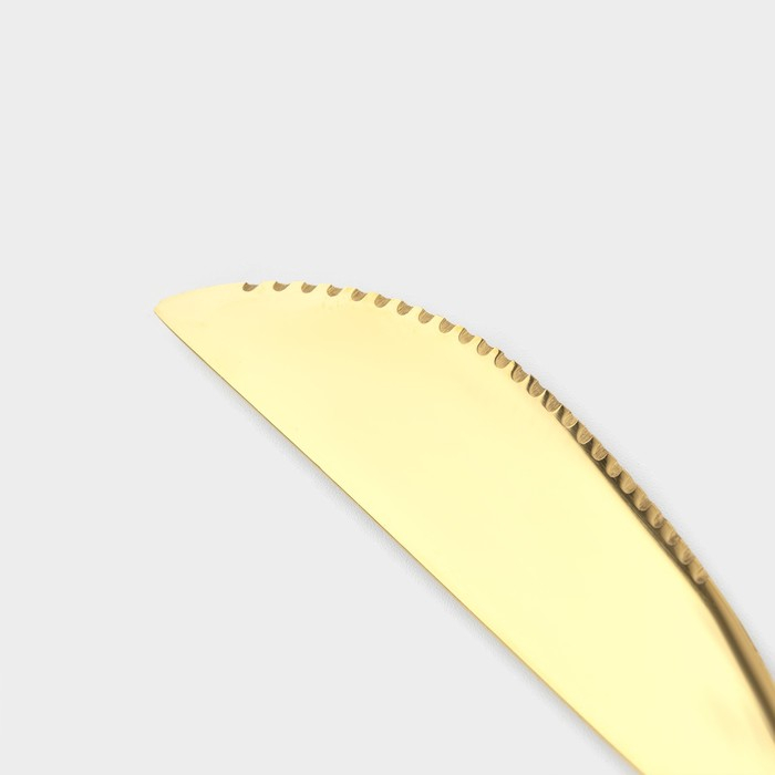 Столовые приборы из нержавеющей стали «Оску», 24 предмета, в коробке, цвет золотой Столовые приборы из нержавеющей стали «Оску», 24 предмета, в коробке, цвет золотой