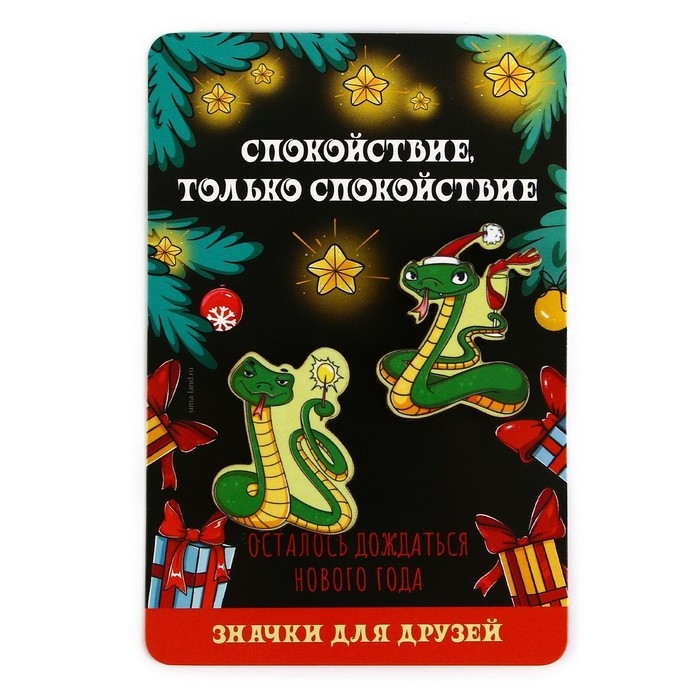 Значки новогодние «Новый год: две змейки», набор, 2 шт Значки новогодние «Новый год: две змейки», набор, 2 шт