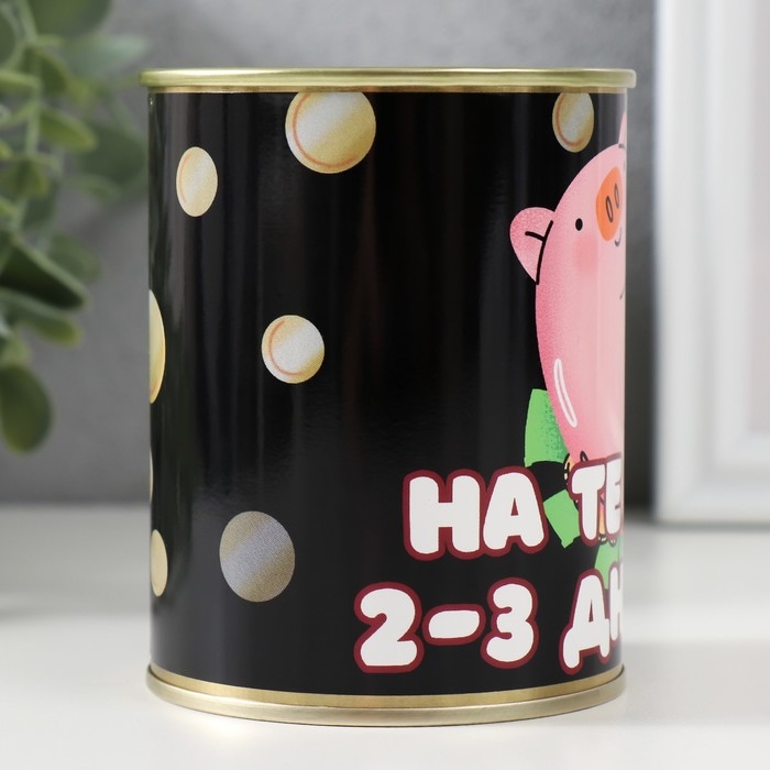 Копилка-банка Копилка-банка "На те самые 2-3 дня"