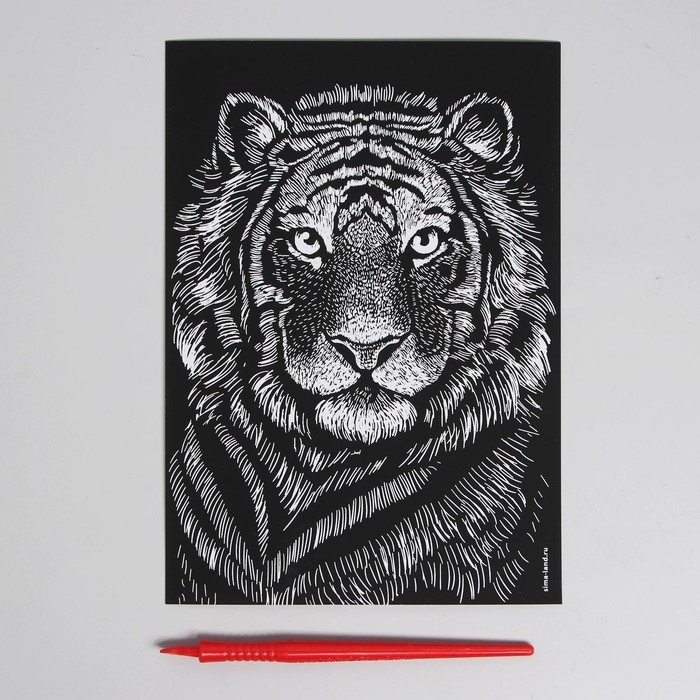 Гравюра «Тигр» с металлическим эффектом «серебро» А5