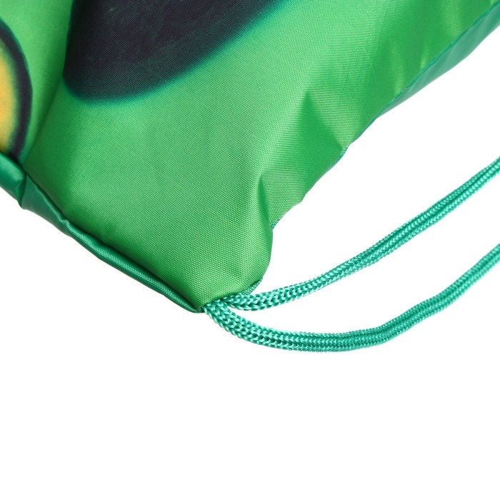 Мешок для обуви с карманом 420 х 340 мм, Calligrata МСО-7С, (мягкий полиэстер, плотность 210D),  Мешок для обуви с карманом 420 х 340 мм, Calligrata МСО-7С, (мягкий полиэстер, плотность 210D), "Ежик с Авокадо зеленое"
