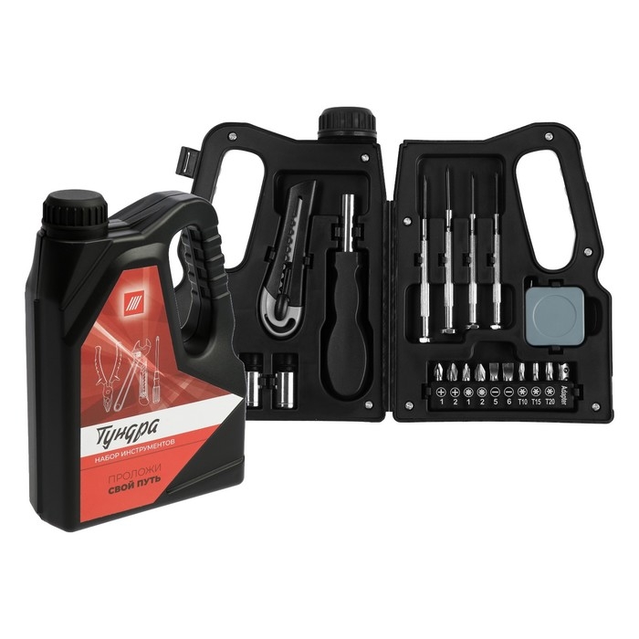 Набор инструментов ТУНДРА, подарочный пластиковый кейс Набор инструментов ТУНДРА, подарочный пластиковый кейс "Канистра", 21 предмет