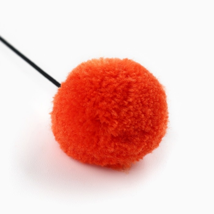 Дразнилка с деревянной подвеской «Мордочка», 4 см Дразнилка с деревянной подвеской «Мордочка», 4 см