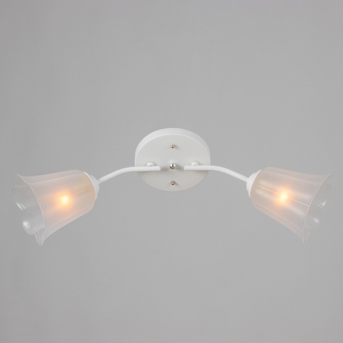 Люстра Люстра "Онлайн" (цветок) 2х15Вт Е27 МОДЕЛЬ: BR 00197 белый/прозрачный
