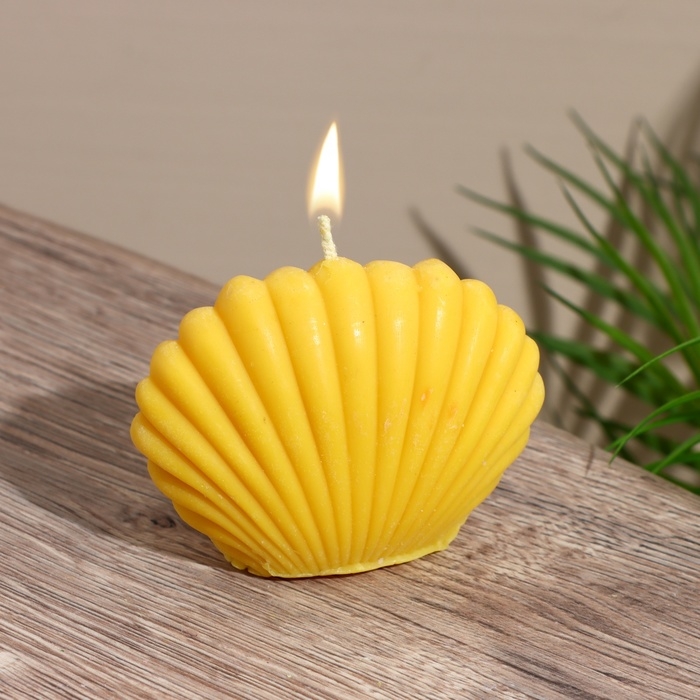 Свеча  Свеча "Ракушка малая" 9х4х7,5 см, соевый воск МИКС