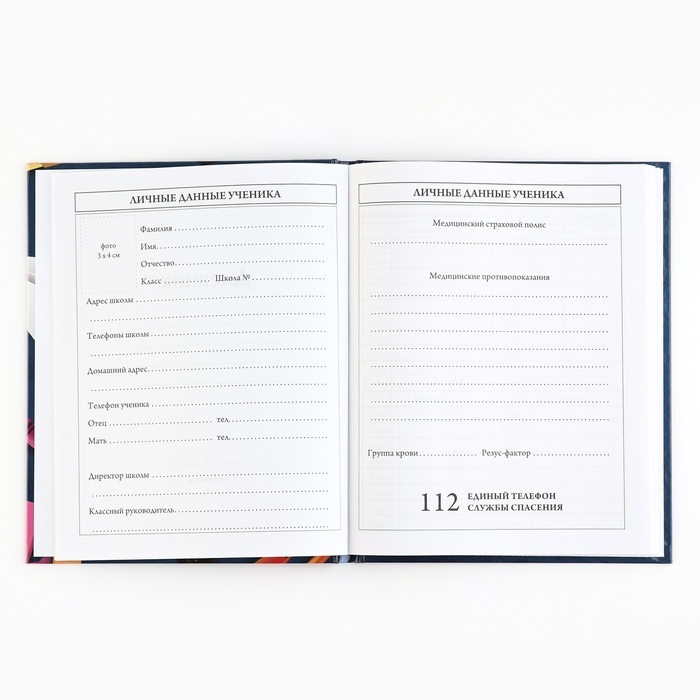 Дневник школьный 5-11 класс, в твердой обложке, 48 л. «Школьные принадлежности» Дневник школьный 5-11 класс, в твердой обложке, 48 л. «Школьные принадлежности»