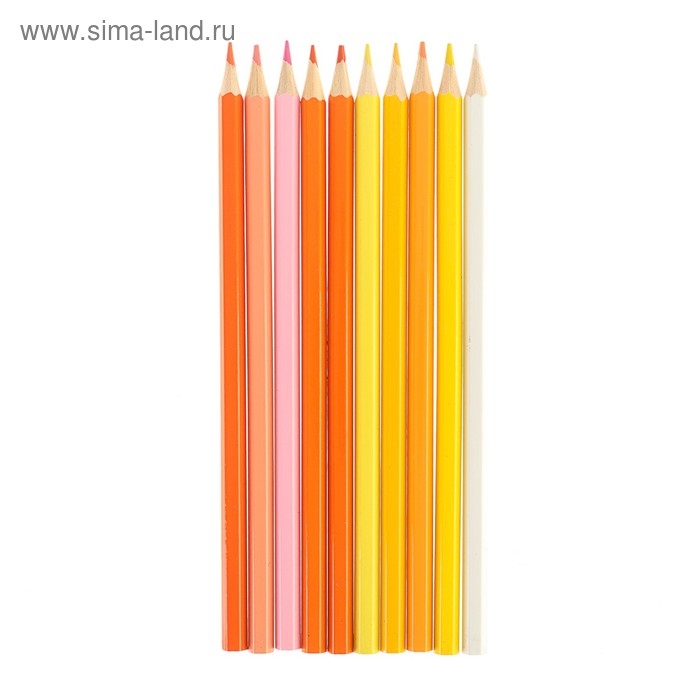 Карандаши 50 цветов, в металлическом пенале, корпус шестигранный, заточенные Карандаши 50 цветов, в металлическом пенале, корпус шестигранный, заточенные