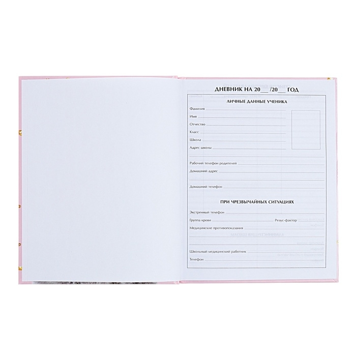 Дневник универсальный для 1-11 классов, Дневник универсальный для 1-11 классов, "Киса", твердая обложка 7БЦ, глянцевая ламинация, 40 листов