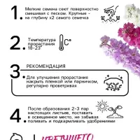 Семена цветов Дельфиниум «Королевская смесь», 0.1 г, «Агросидстрейд»