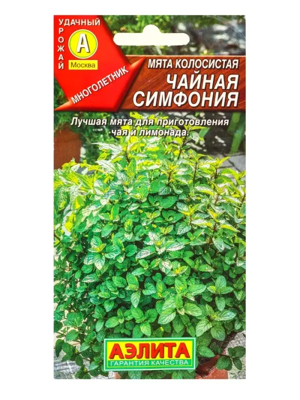 Семена Мята колосистая Чайная симфония, Ц/П,0,05 г Семена Мята колосистая Чайная симфония, Ц/П,0,05 г
