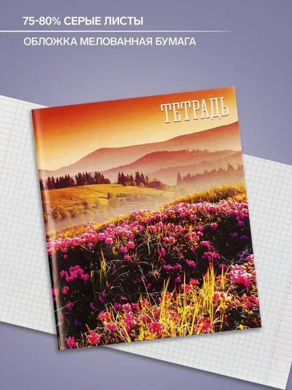 Тетрадь 48 листов в клетку, Calligrata «Времена года», обложка мелованная бумага, серые листы, МИКС