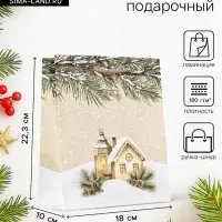 Пакет подарочный новогодний ламинированный, &laquo;Новогодний дом&raquo;, 18&times;10&times;22.3 см