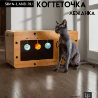 Домик - когтеточка &laquo;Пижон. Грибочек&raquo;, 48&times;24&times;24 см, с кошачьей мятой, гофрокартон, дерево
